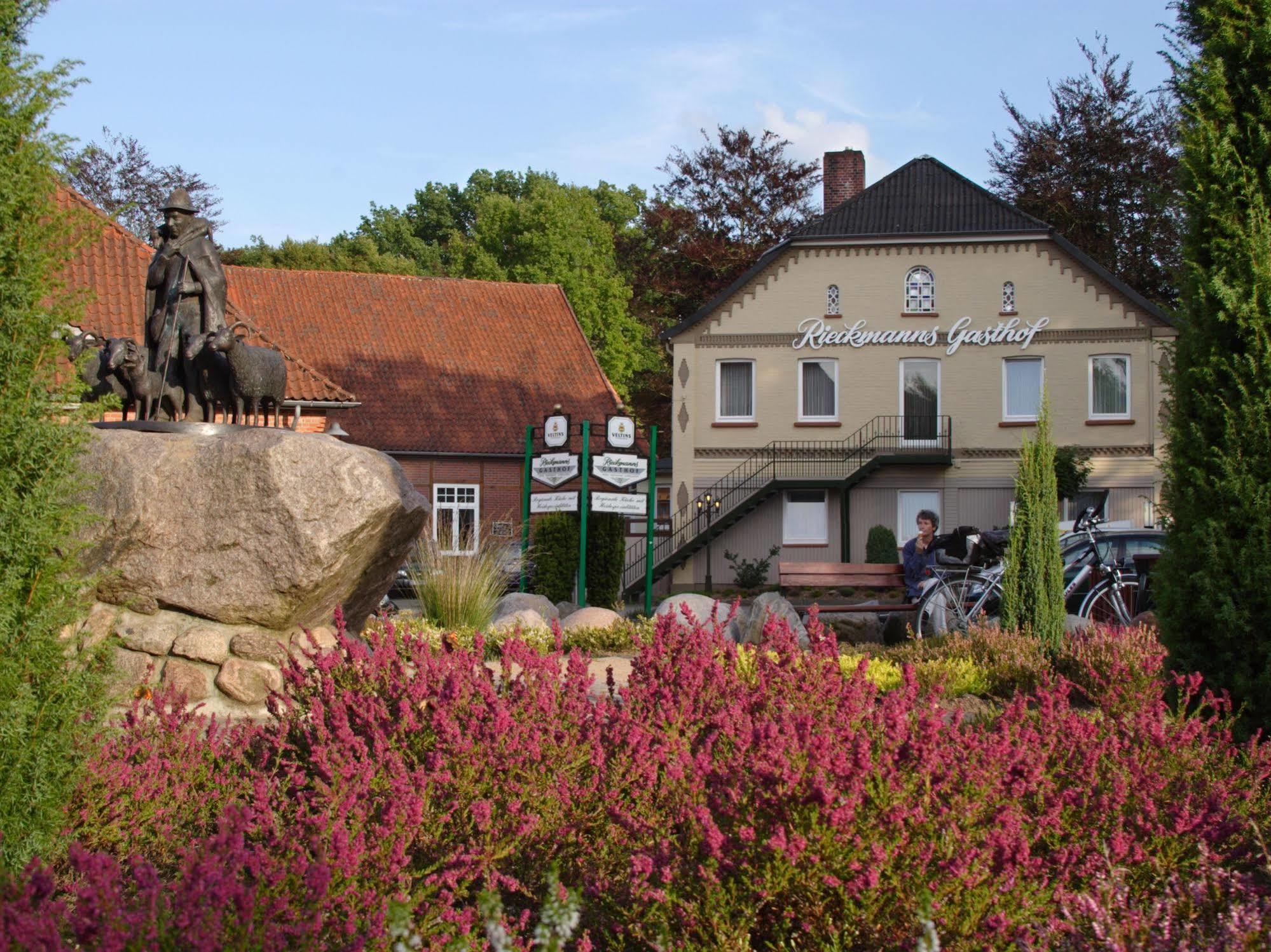 Flair Hotel Rieckmann Bispingen Εξωτερικό φωτογραφία